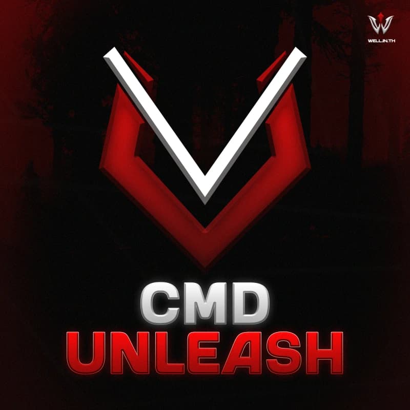  CMD UNLEASH ( WELL )